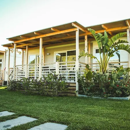 Camping * Vallecrosia