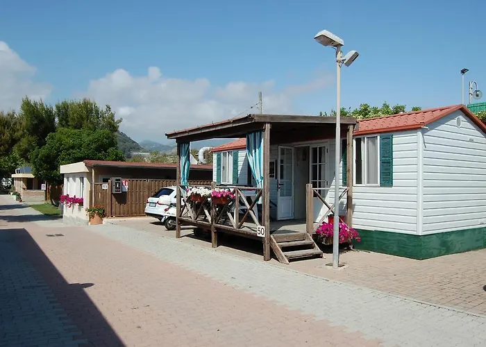 Camping Kamp alanı *