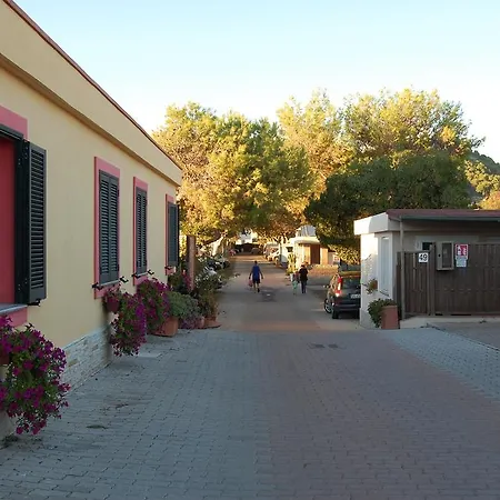 Parque de Campismo Camping *