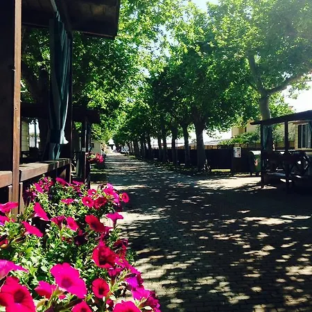 Camping Vallecrosia