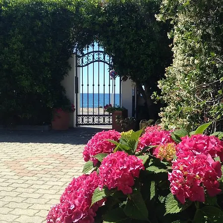 营地 Camping 瓦莱克罗夏