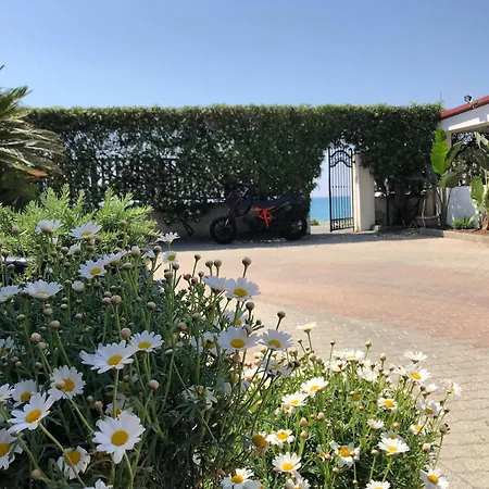 Parque de Campismo Camping *