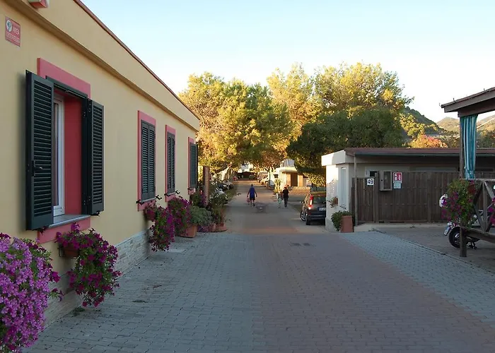 Campingplads Camping *