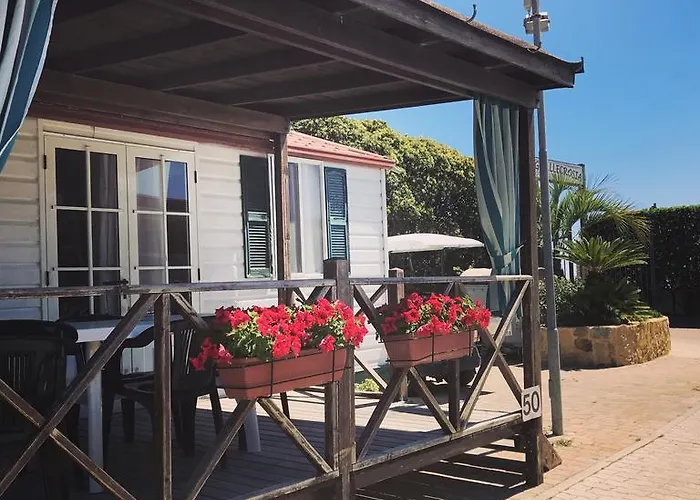 Camping Campingplads *