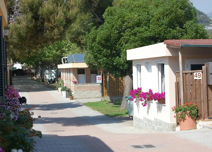 Campingplads Camping *