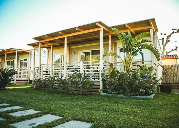 Camping * Vallecrosia